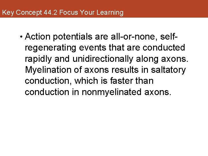 Key Concept 44. 2 Focus Your Learning • Action potentials are all-or-none, self- regenerating