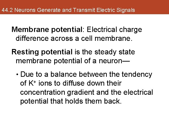 44. 2 Neurons Generate and Transmit Electric Signals Membrane potential: Electrical charge difference across