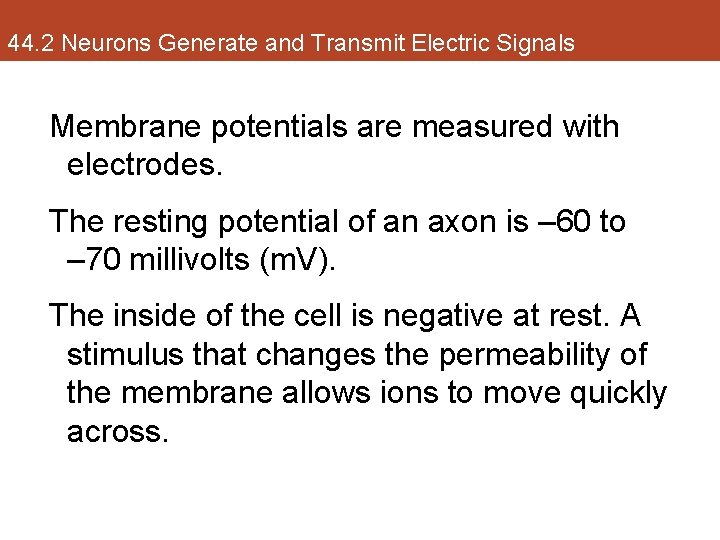 44. 2 Neurons Generate and Transmit Electric Signals Membrane potentials are measured with electrodes.