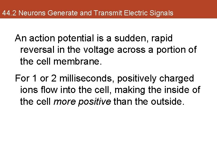 44. 2 Neurons Generate and Transmit Electric Signals An action potential is a sudden,