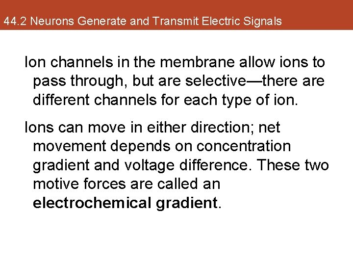 44. 2 Neurons Generate and Transmit Electric Signals Ion channels in the membrane allow