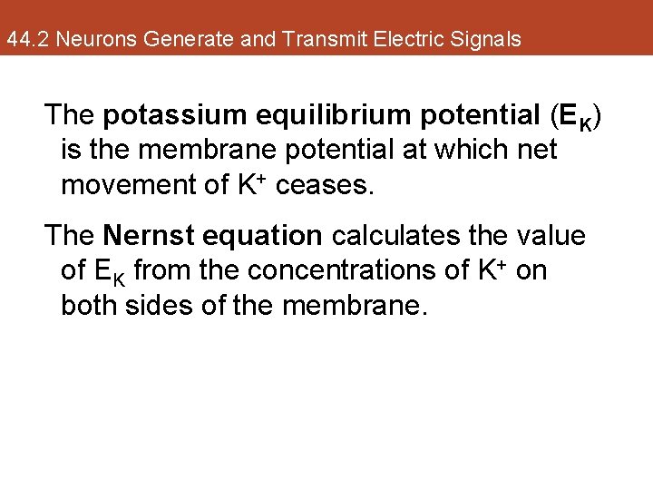 44. 2 Neurons Generate and Transmit Electric Signals The potassium equilibrium potential (EK) is