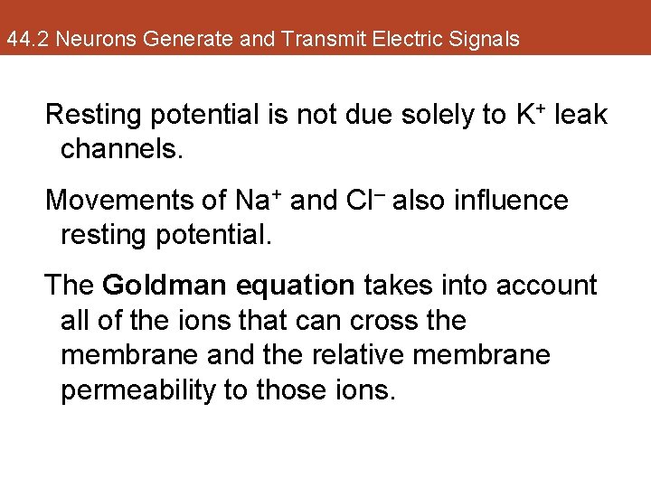 44. 2 Neurons Generate and Transmit Electric Signals Resting potential is not due solely
