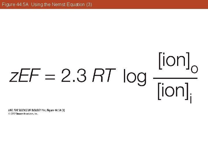 Figure 44. 5 A Using the Nernst Equation (3) 