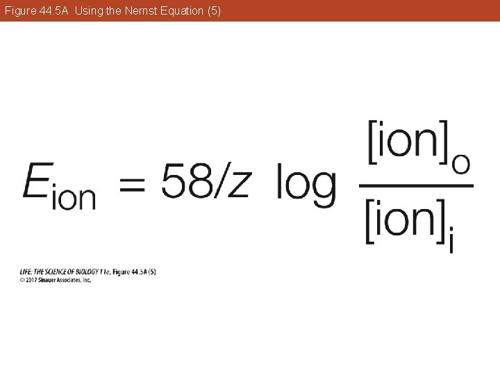 Figure 44. 5 A Using the Nernst Equation (5) 