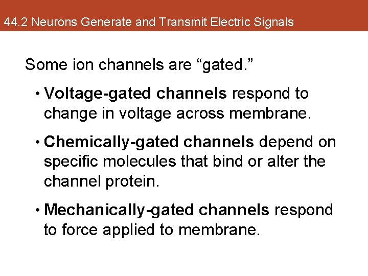 44. 2 Neurons Generate and Transmit Electric Signals Some ion channels are “gated. ”