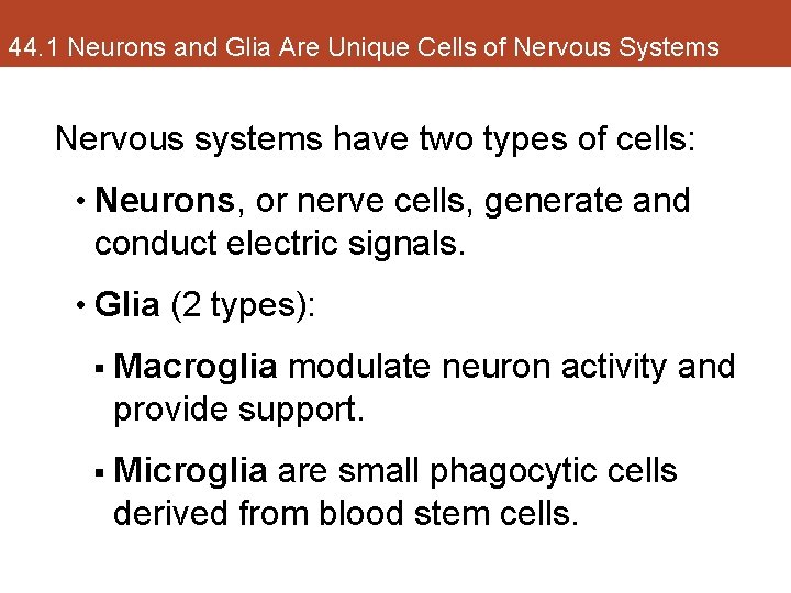 44. 1 Neurons and Glia Are Unique Cells of Nervous Systems Nervous systems have