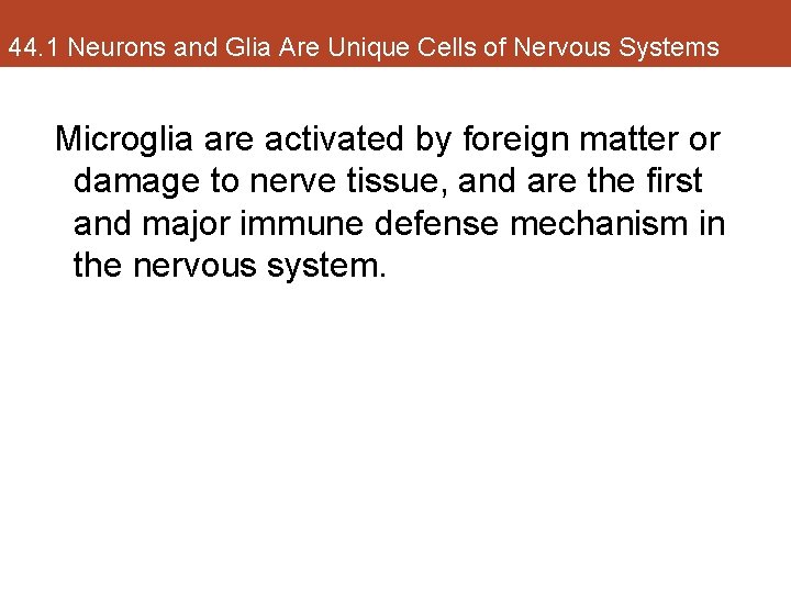 44. 1 Neurons and Glia Are Unique Cells of Nervous Systems Microglia are activated