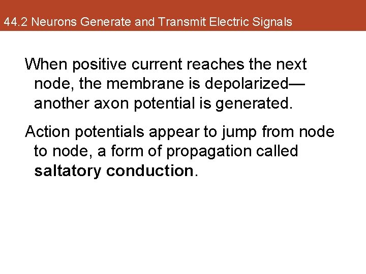 44. 2 Neurons Generate and Transmit Electric Signals When positive current reaches the next