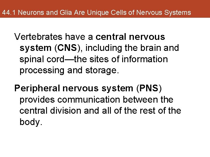 44. 1 Neurons and Glia Are Unique Cells of Nervous Systems Vertebrates have a