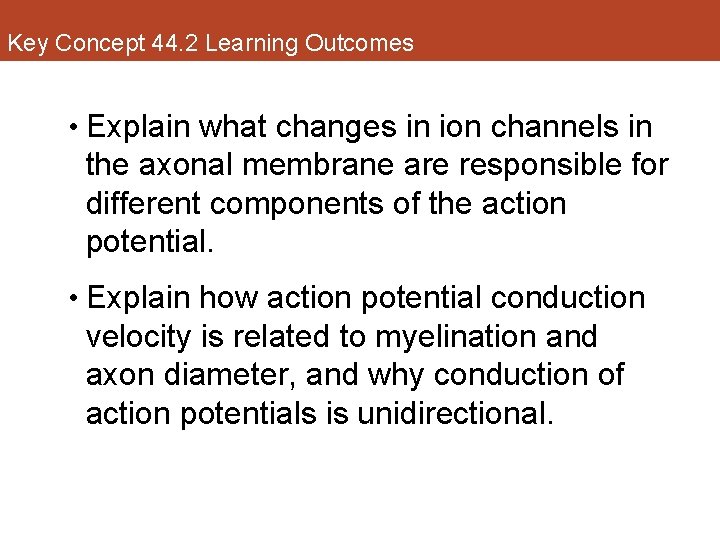 Key Concept 44. 2 Learning Outcomes • Explain what changes in ion channels in