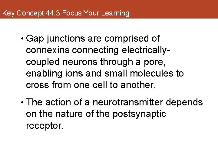 Key Concept 44. 3 Focus Your Learning • Gap junctions are comprised of connexins