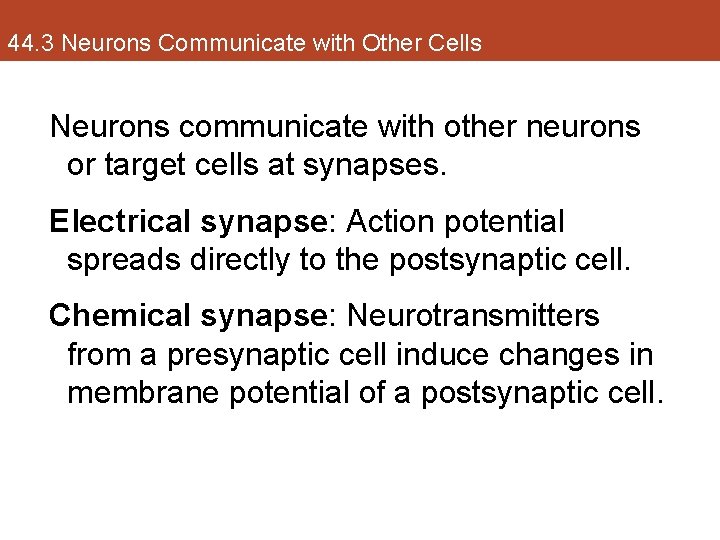 44. 3 Neurons Communicate with Other Cells Neurons communicate with other neurons or target