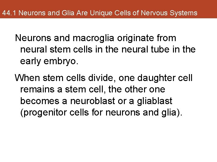 44. 1 Neurons and Glia Are Unique Cells of Nervous Systems Neurons and macroglia