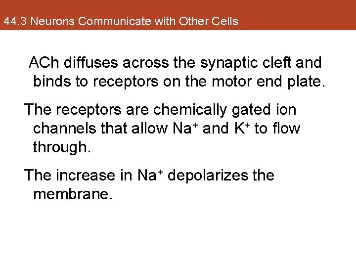 44. 3 Neurons Communicate with Other Cells ACh diffuses across the synaptic cleft and