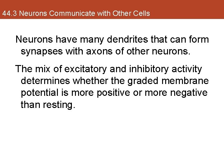 44. 3 Neurons Communicate with Other Cells Neurons have many dendrites that can form