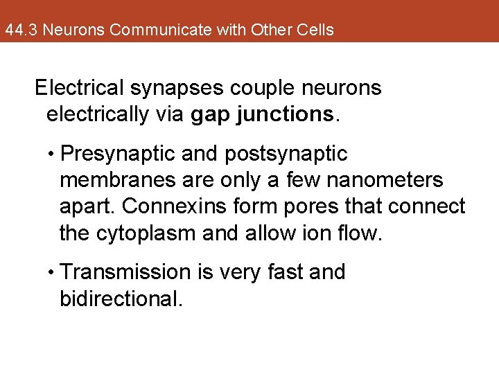 44. 3 Neurons Communicate with Other Cells Electrical synapses couple neurons electrically via gap
