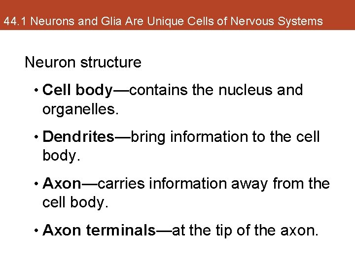 44. 1 Neurons and Glia Are Unique Cells of Nervous Systems Neuron structure •