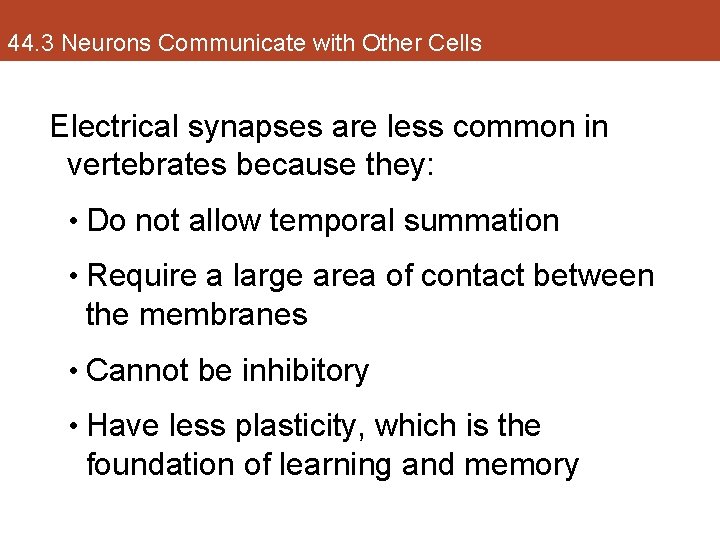 44. 3 Neurons Communicate with Other Cells Electrical synapses are less common in vertebrates