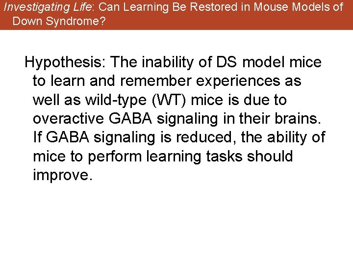 Investigating Life: Can Learning Be Restored in Mouse Models of Down Syndrome? Hypothesis: The