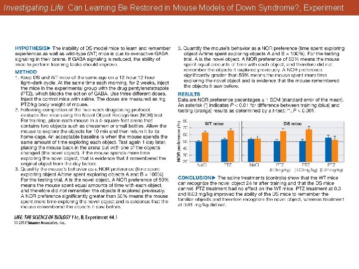 Investigating Life: Can Learning Be Restored in Mouse Models of Down Syndrome? , Experiment