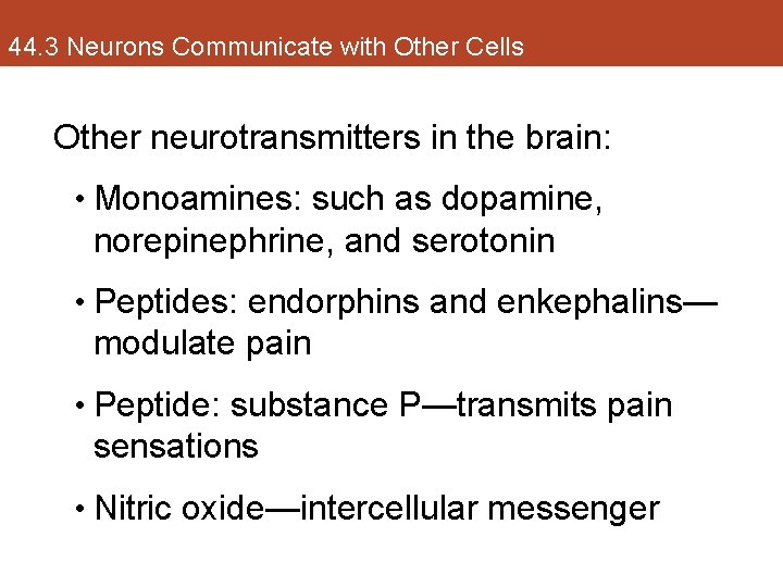 44. 3 Neurons Communicate with Other Cells Other neurotransmitters in the brain: • Monoamines: