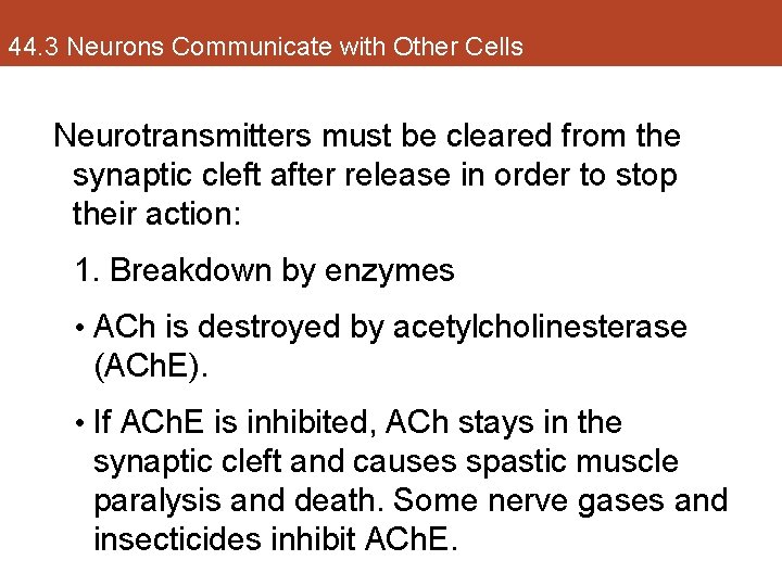 44. 3 Neurons Communicate with Other Cells Neurotransmitters must be cleared from the synaptic