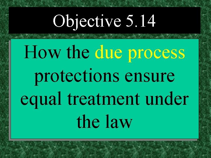 Objective 5. 14 How the due process protections ensure equal treatment under the law