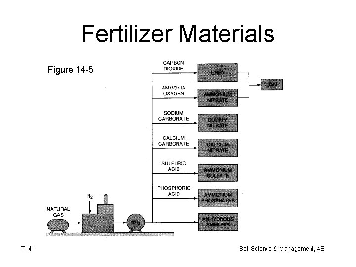 Fertilizer Materials Figure 14 -5 T 14 - Soil Science & Management, 4 E