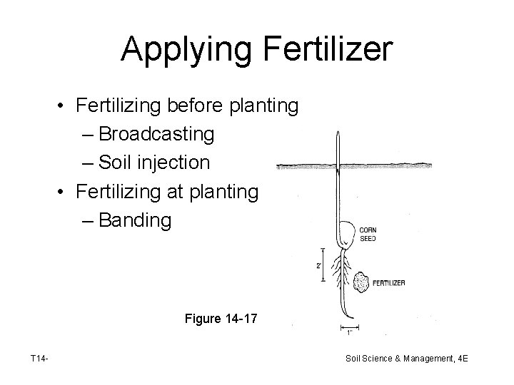 Applying Fertilizer • Fertilizing before planting – Broadcasting – Soil injection • Fertilizing at