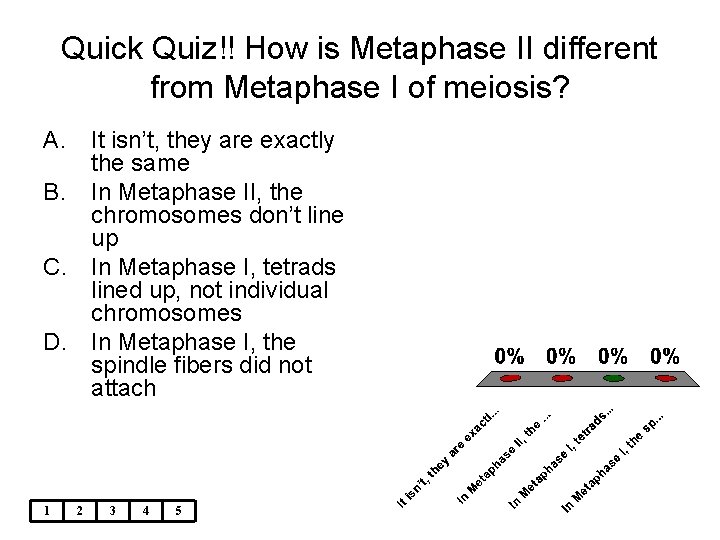 Quick Quiz!! How is Metaphase II different from Metaphase I of meiosis? A. It