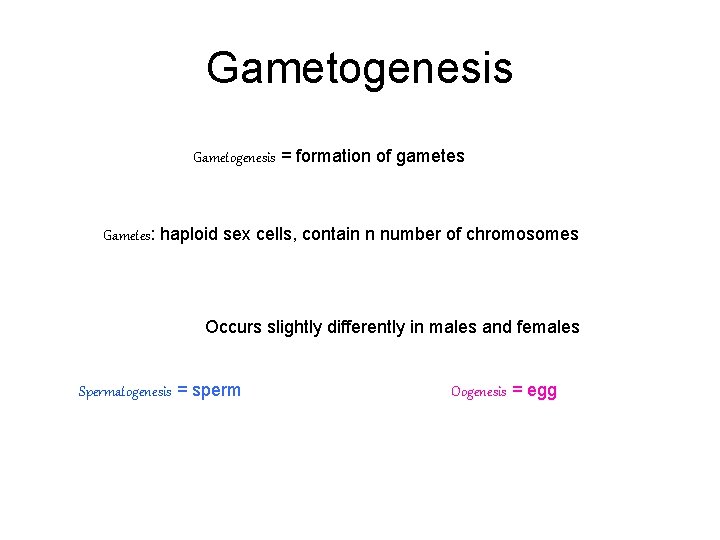 Gametogenesis = formation of gametes Gametes: haploid sex cells, contain n number of chromosomes