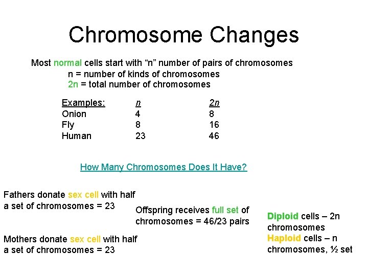 Chromosome Changes Most normal cells start with “n” number of pairs of chromosomes n