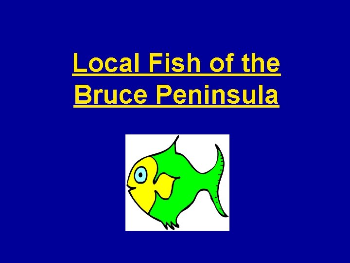 Local Fish of the Bruce Peninsula 
