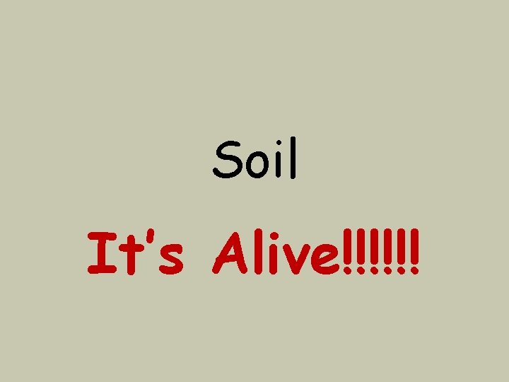 Soil It’s Alive!!!!!! 
