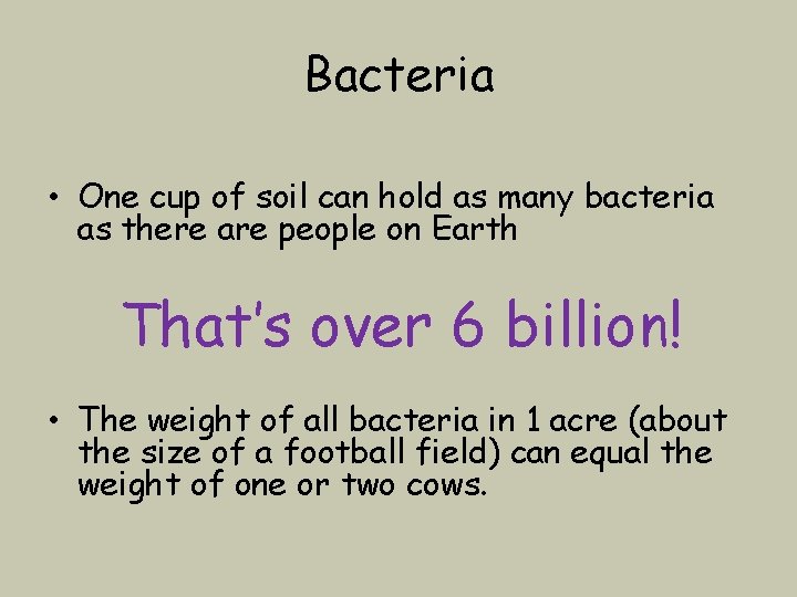 Bacteria • One cup of soil can hold as many bacteria as there are