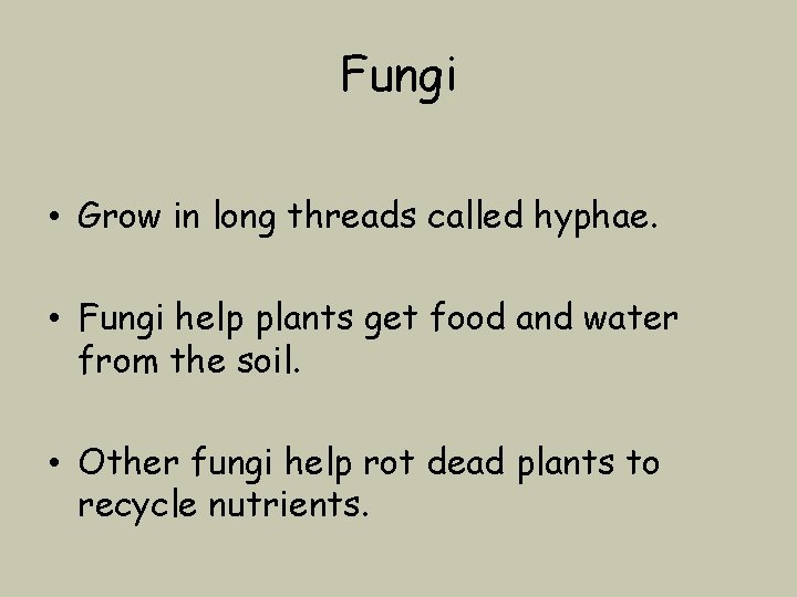 Fungi • Grow in long threads called hyphae. • Fungi help plants get food
