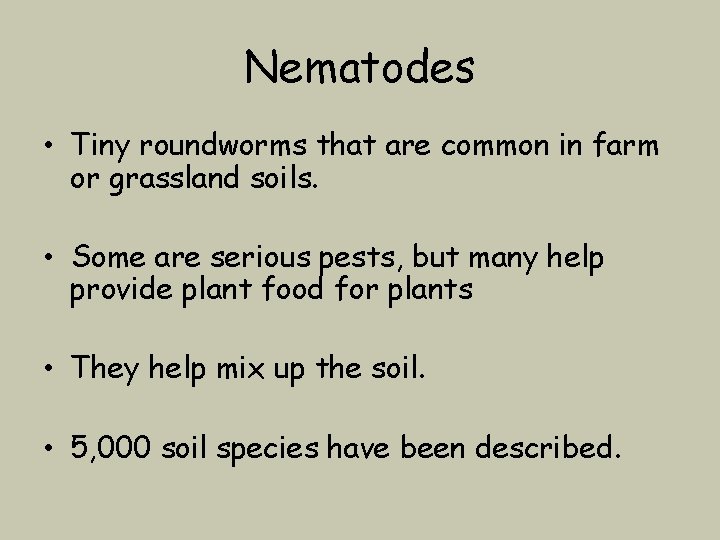 Nematodes • Tiny roundworms that are common in farm or grassland soils. • Some