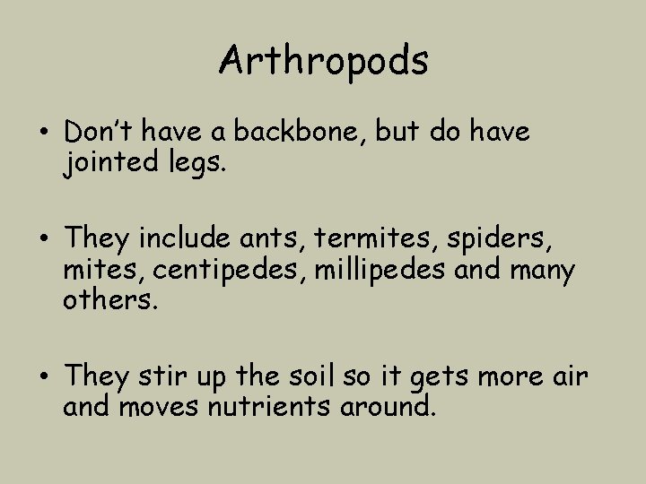 Arthropods • Don’t have a backbone, but do have jointed legs. • They include