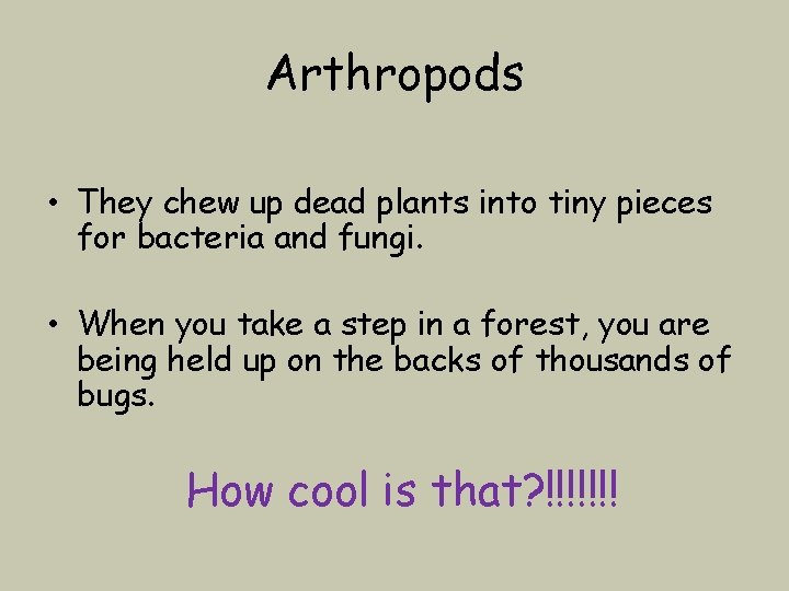 Arthropods • They chew up dead plants into tiny pieces for bacteria and fungi.