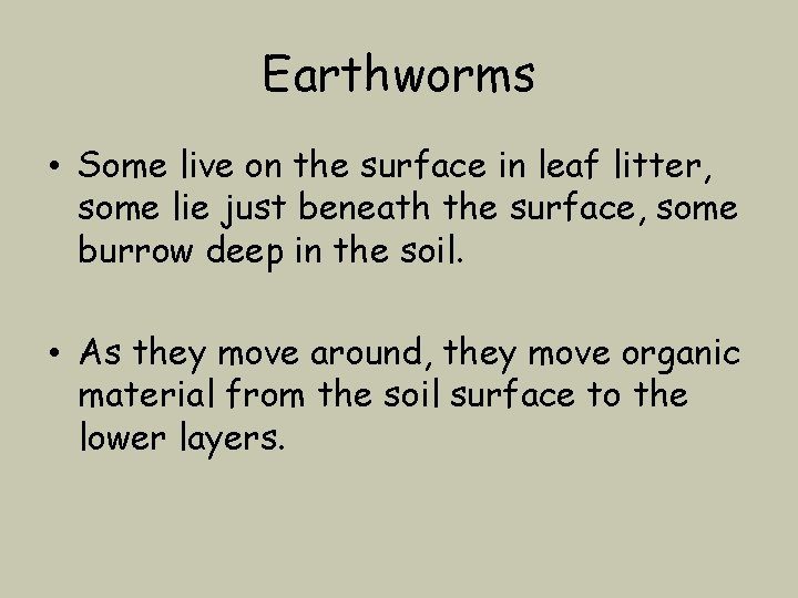 Earthworms • Some live on the surface in leaf litter, some lie just beneath