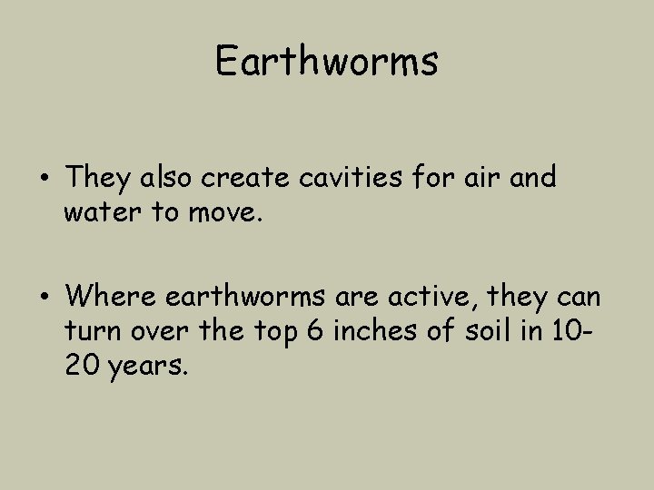 Earthworms • They also create cavities for air and water to move. • Where