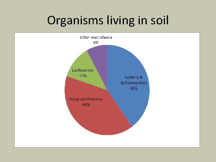 Organisms living in soil 