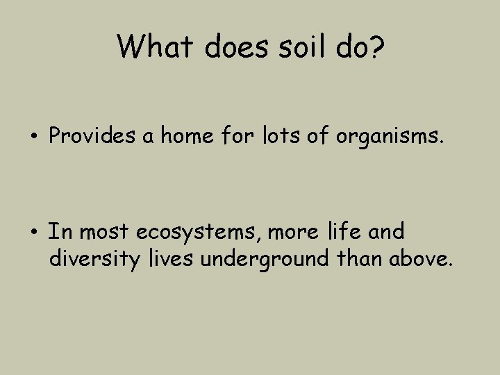 What does soil do? • Provides a home for lots of organisms. • In