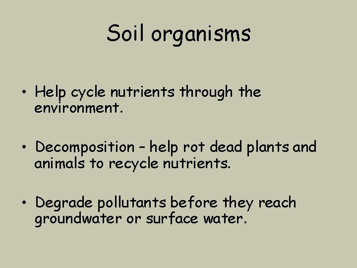Soil organisms • Help cycle nutrients through the environment. • Decomposition – help rot