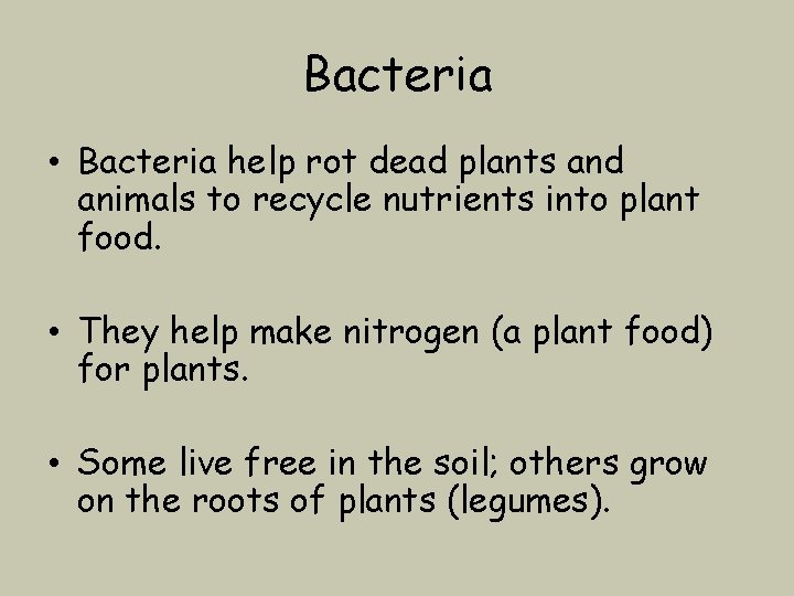 Bacteria • Bacteria help rot dead plants and animals to recycle nutrients into plant