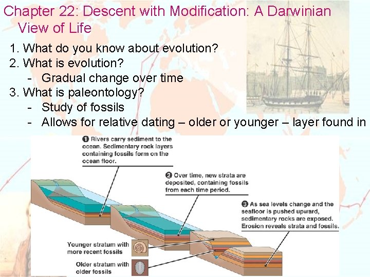 Chapter 22: Descent with Modification: A Darwinian View of Life 1. What do you