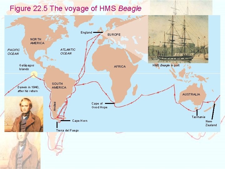 Figure 22. 5 The voyage of HMS Beagle England EUROPE NORTH AMERICA ATLANTIC OCEAN