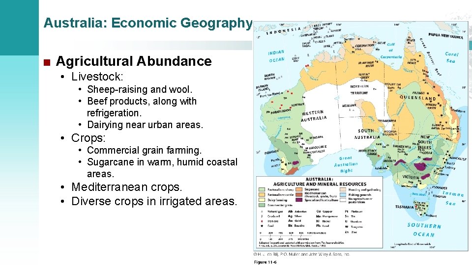 Australia: Economic Geography ■ Agricultural Abundance • Livestock: • Sheep-raising and wool. • Beef