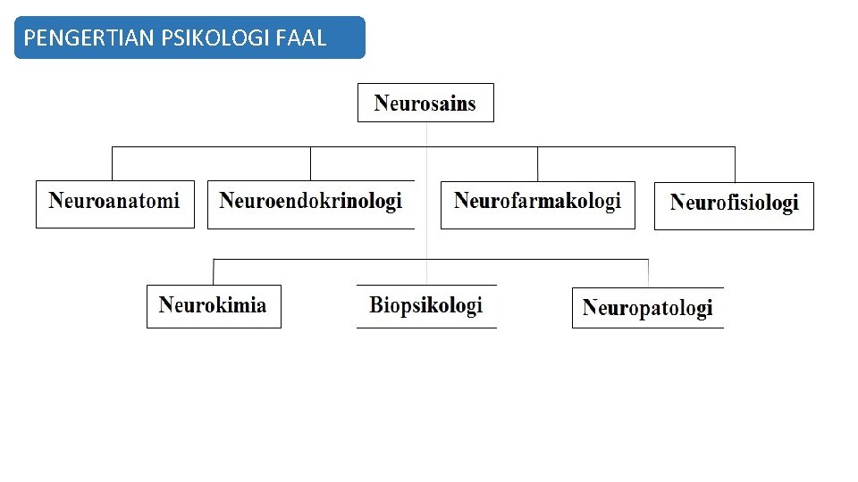 PENGERTIAN PSIKOLOGI FAAL 